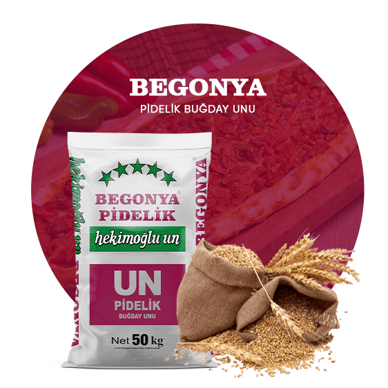 Begonya 2